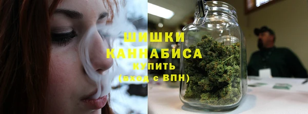 PSILOCYBIN Балабаново