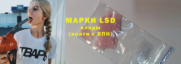 PSILOCYBIN Балабаново