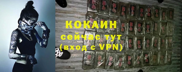 PSILOCYBIN Балабаново